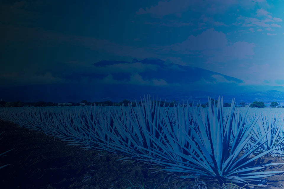 Tequila & Mezcals