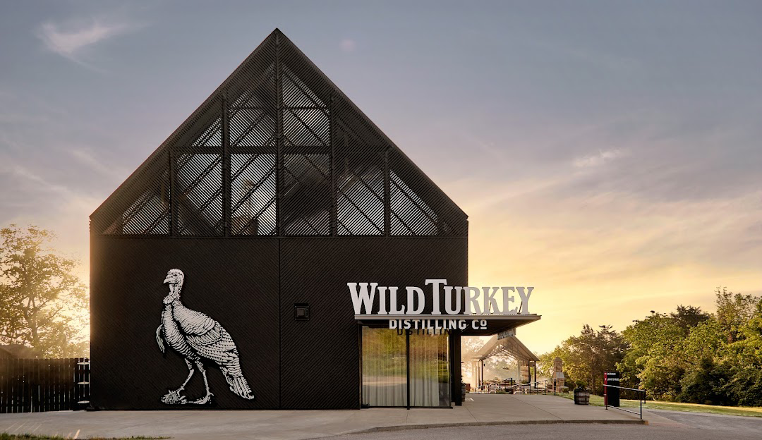 Wild Turkey